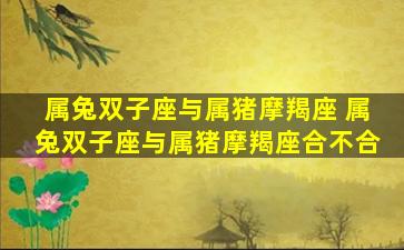 属兔双子座与属猪摩羯座 属兔双子座与属猪摩羯座合不合